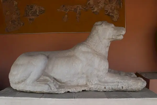 древна статуа пса Молоссиан Хоунд