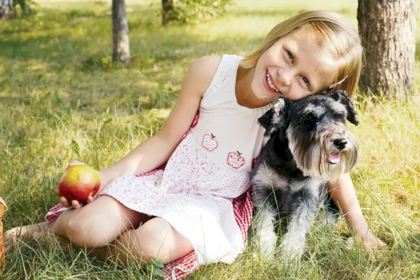 Schnauzer nano con la proprietaria della bambina