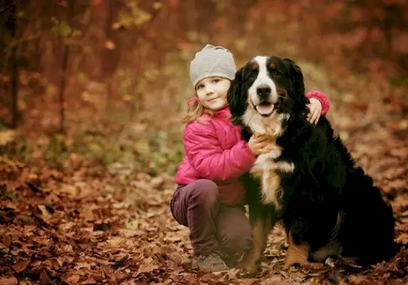 разделител-лапа