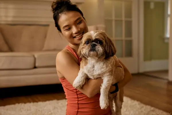 Trzyma w domu psa Shih Tzu