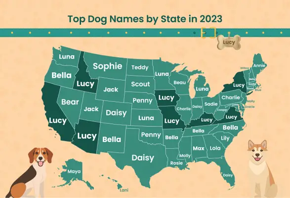 happy smiling dog top dog names in each state