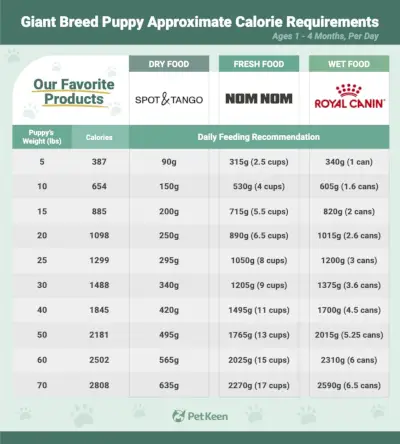 Caloriebehoefte van gigantische hondenrassen
