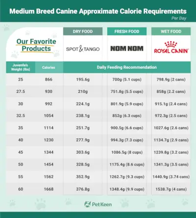 PetKeen_Calorie Requirements_juveniles_Medium Breed Canine_v1_22. Nov