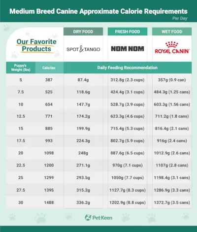 PetKeen_Calorie Requirements_puppies_Medium Breed Canine_v1_22. November 2023