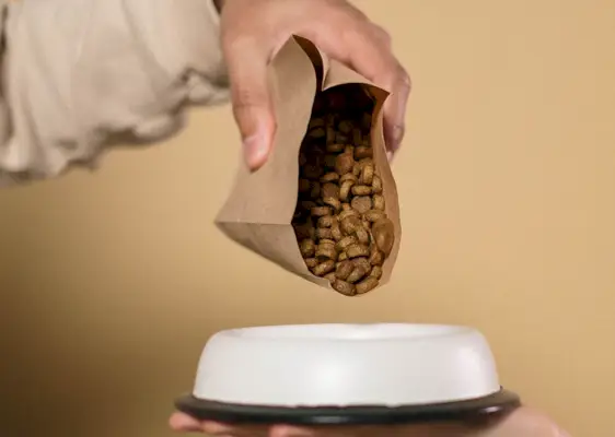 ドッグフードを注ぐ