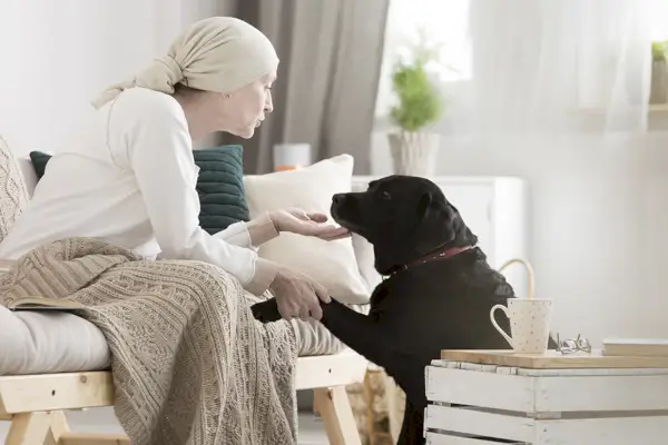 חולת גידול מלטפת את כלבה במהלך טיפול בחיות מחמד