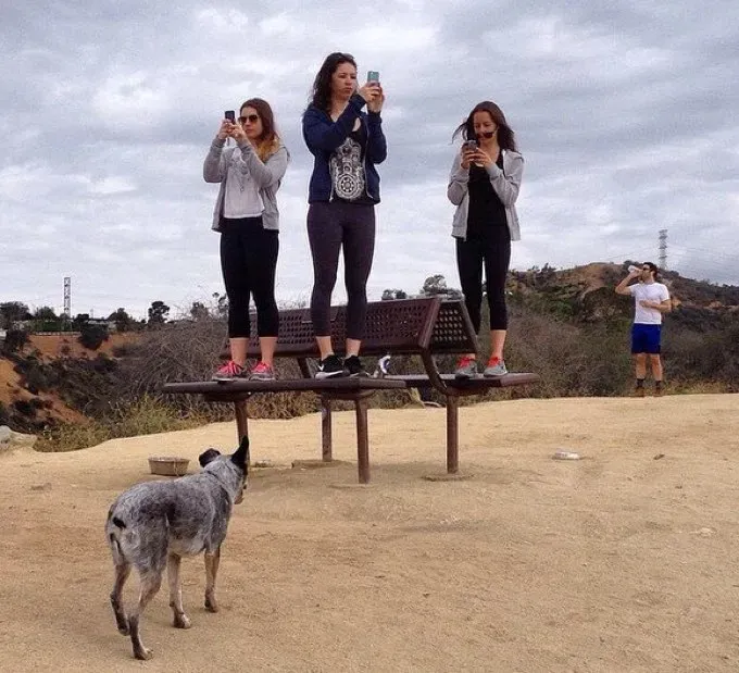 zuma-planinarski-psi-los-angeles' title=