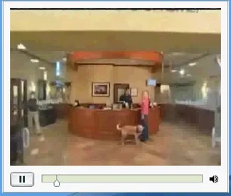 Преглед производа: Петсмарт Петсхотел