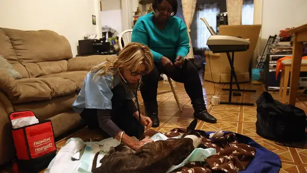 NEW YORK, NY - NOVEMBER 04: Veterinarian Wendy McCulloch euthanizes Alberta Fergus