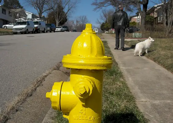 ברז כיבוי אש