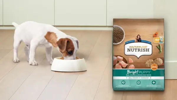 Рацхаел Раи Нутрисх Пуппи Фоод