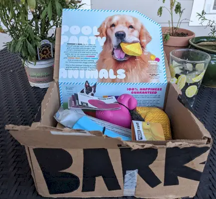 bark super chewer allas juhla eläinten sisältö