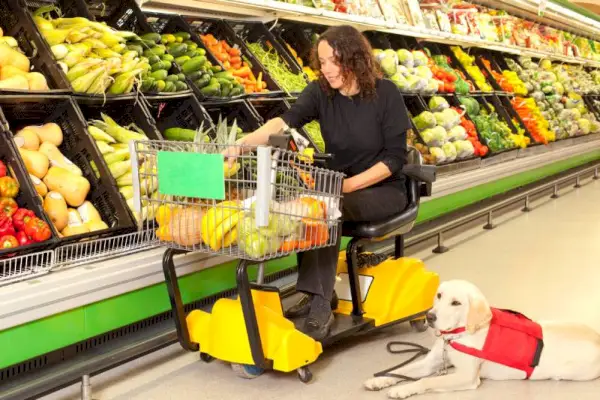 Mujer en silla de ruedas con la ayuda de un perro entrenado comprando comestibles en el mercado.