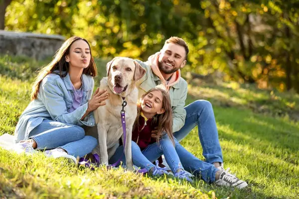 glad kvinne eier leker med bulldog på stranden
