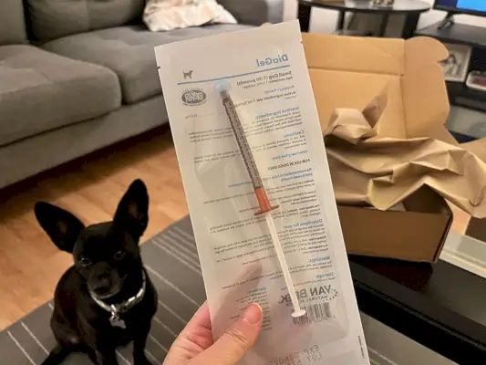 coco tittar på behandlingen från holländsk veterinär