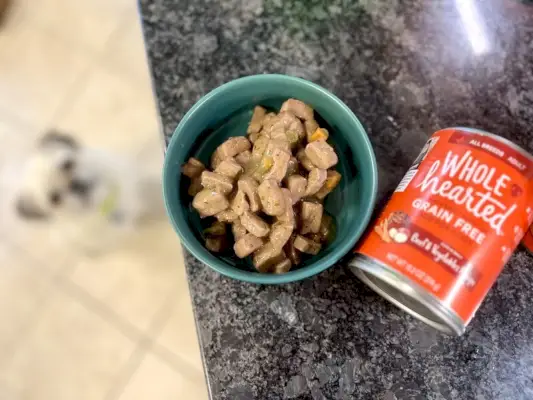 helhjertet kornfri våd