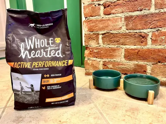 helhjertet aktiv præstation tør