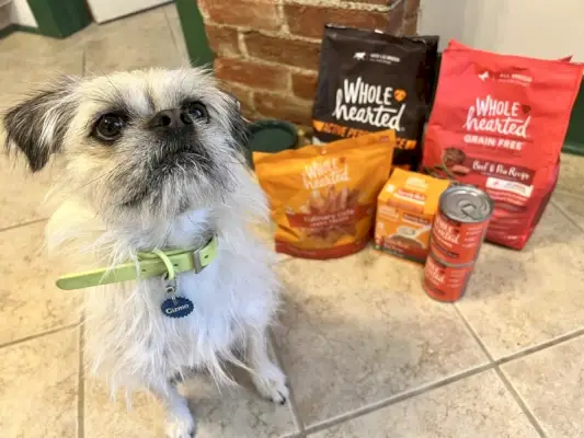 helhjertet lineup med Gizmo