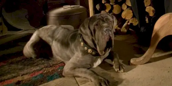 Harry Potter e as Relíquias da Morte – Parte 2, Warner Bros.