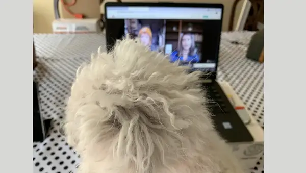 These tips really got us thinking!