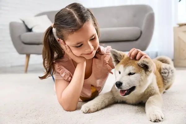 mlado dekle boža kužka akite inu doma