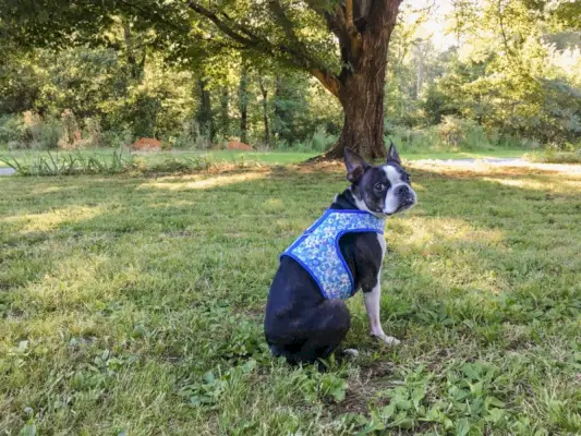 DIY Flexfoam Body Harness
