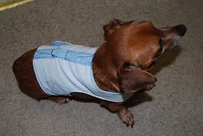 DIY Recyklovaný flanelový postroj