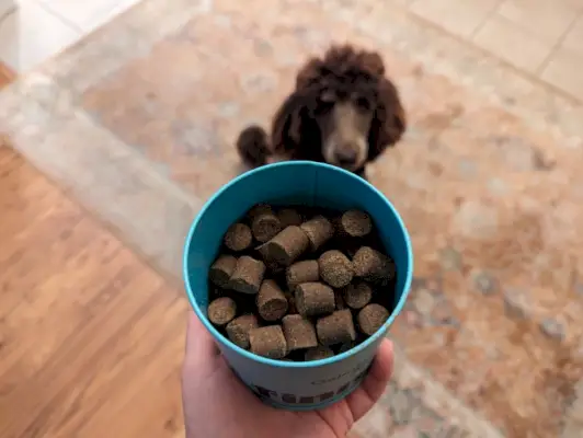 finn raminamieji papildai skardinėje