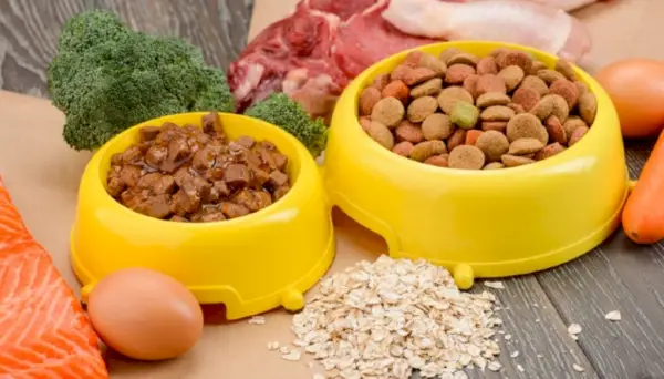 aliments secs i humits