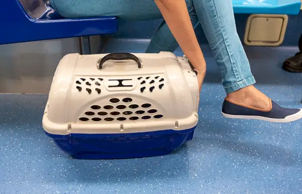 домашен любимец в превозвач в метрото