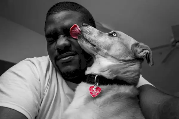 Cane che lecca un essere umano