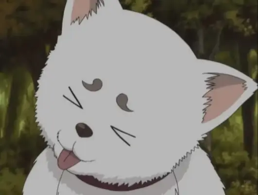 Sadaharu is an inugami who is a Japanese dog spirit in the Gintama parody.