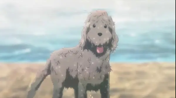 Makkachin is a great source of support, bringing meaning to the character