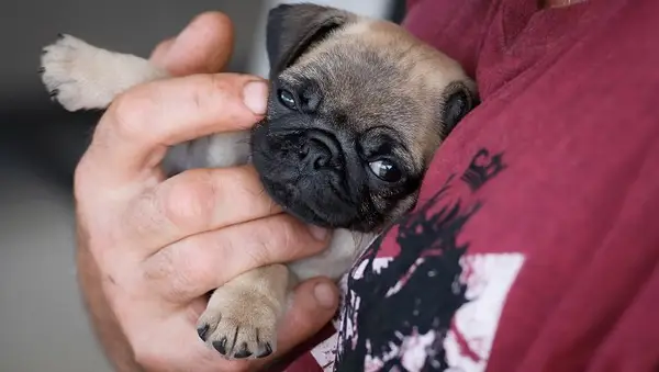 Photo Taken In Gympie, Australia