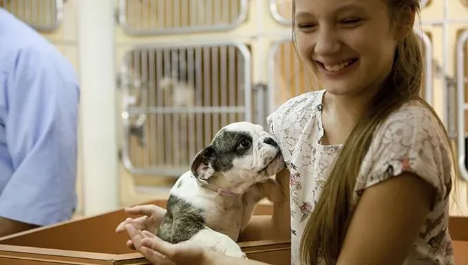 familie med hund i ly' title=