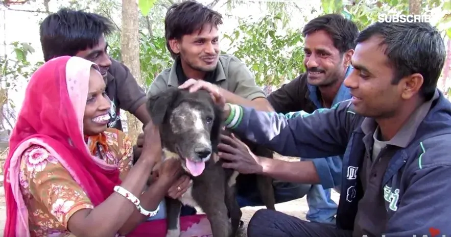 (Credit imagine: Animal Aid Unlimited)' title=