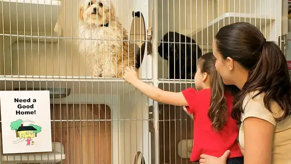 Mother and daughter at animal shelter