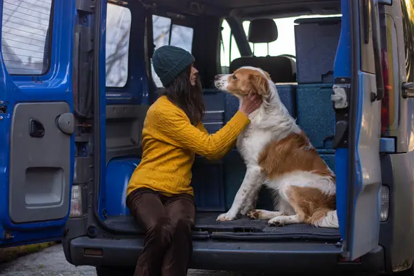 Hoe kan ik een hond ophalen om dieren te redden?