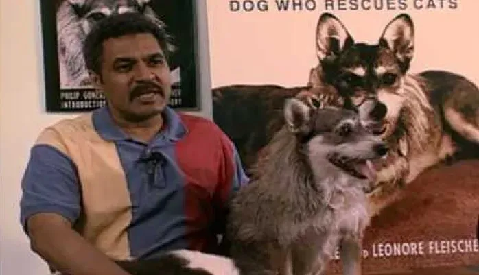 Celebrant a Ginny: el súper gos rescatat que va salvar gairebé 1000 gats