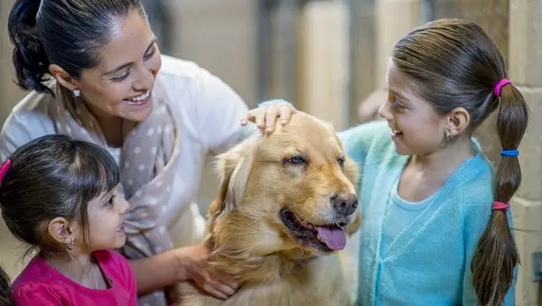 Zmena divokej prírody: 8 Zmena 8 papierov