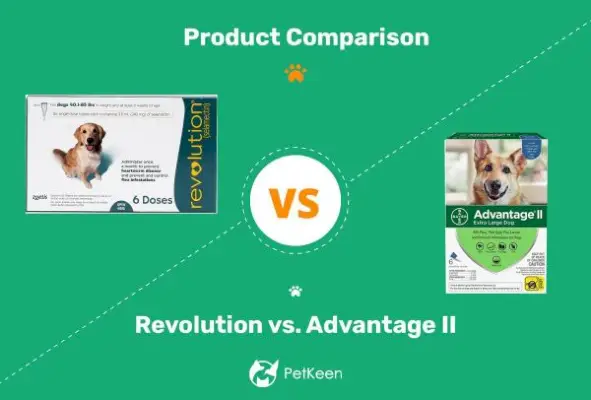 Comparação entre Revolution e Advantage II Flea Treatment 2024 (resposta do veterinário)