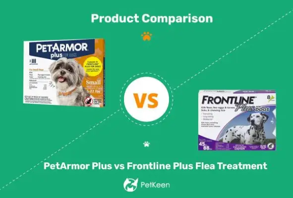 Tractament de puces PetArmor Plus vs Frontline Plus: les diferències (resposta veterinaria)