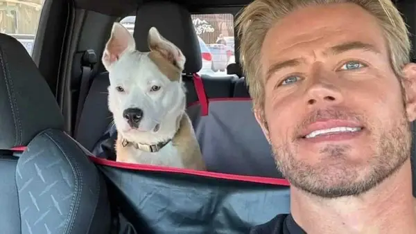 Trevoras Donas praranda didžiąją dalį savo šunų ir perspėja apie silitolo riziką