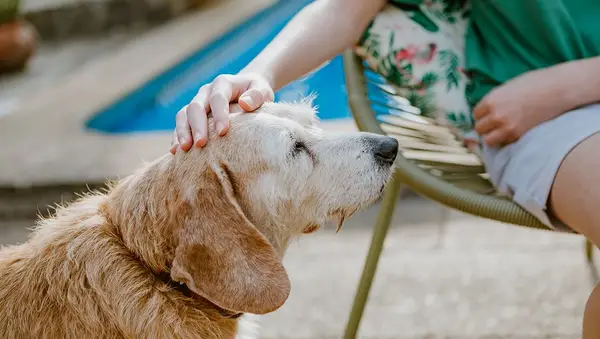 Give Them A Few Minutes Of Undivided Attention