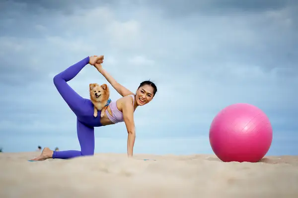 Dog: Wat is yoga -rotatie? Kun je een hond voorbereiden?