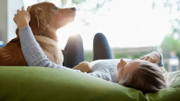 Prieš grįždami iš prieglobsčio, kad išgelbėtų šunis