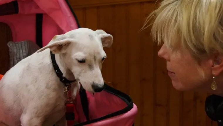 Cindy Och Våfflor' title=