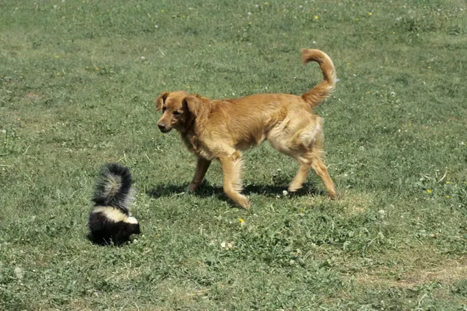 (Avtorstvo slike: Getty Images)' title=