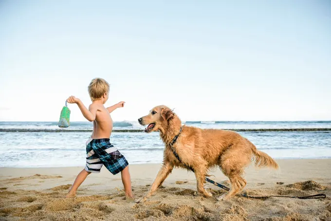 (קרדיט תמונה: Getty Images)' title=