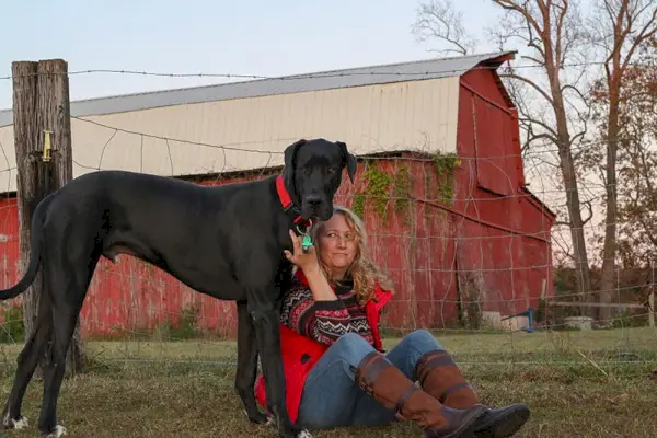 ženska in njena črna nemška doga sedita na travnatem polju